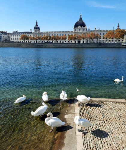 Quais de Saône à Lyon