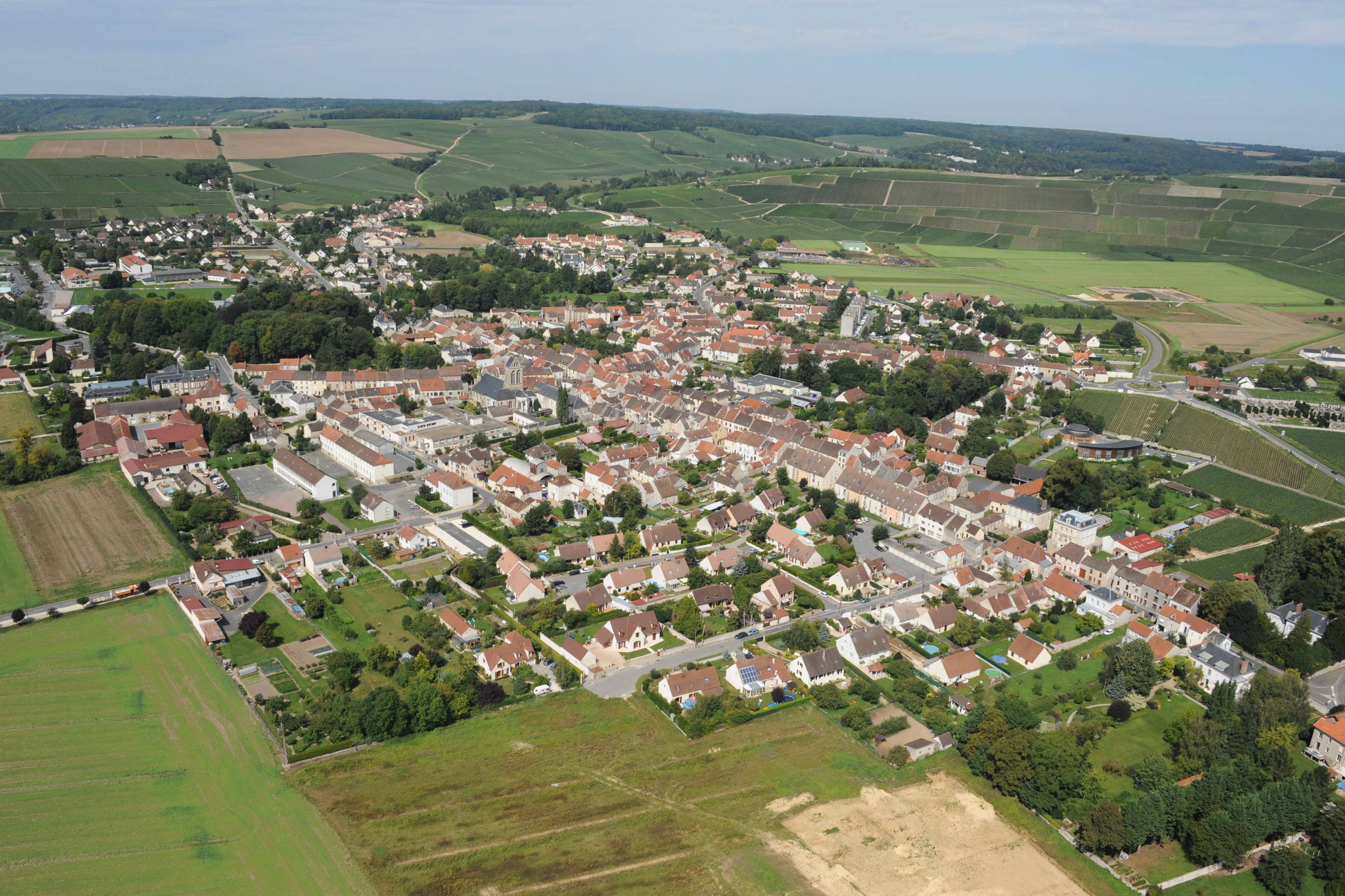 Parc de la mairie de Charly illustration