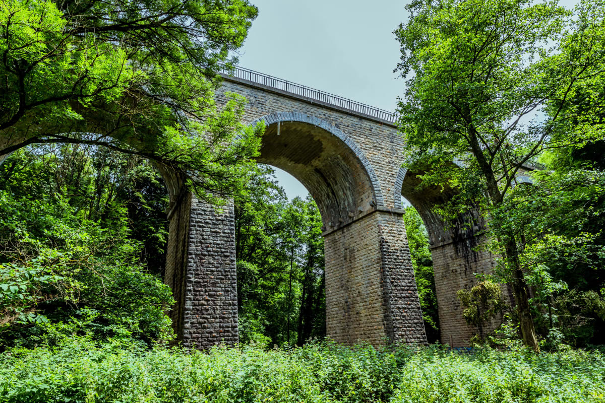 Pôle économique de Dardilly illustration