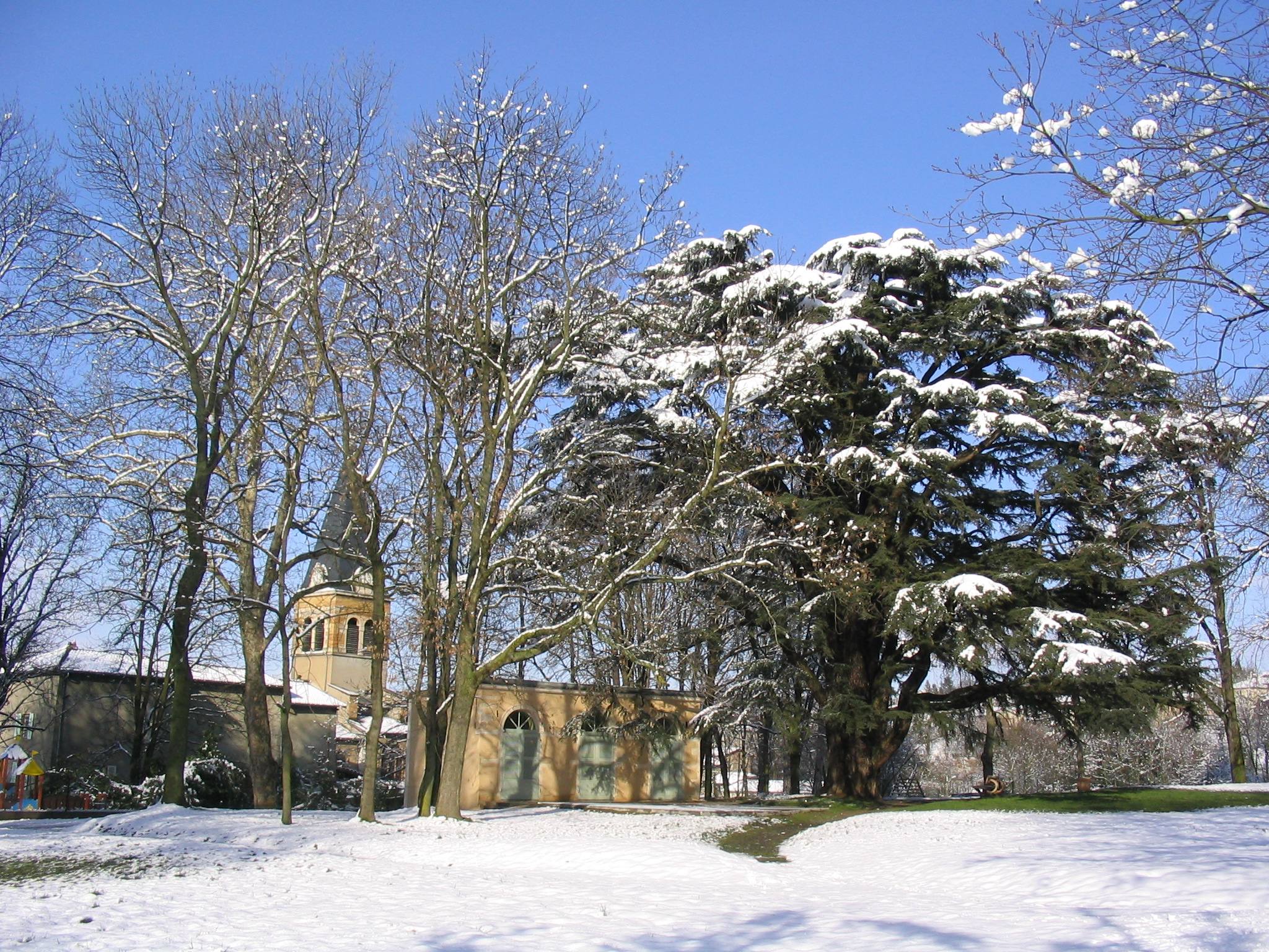Bords de Saône à Genay illustration