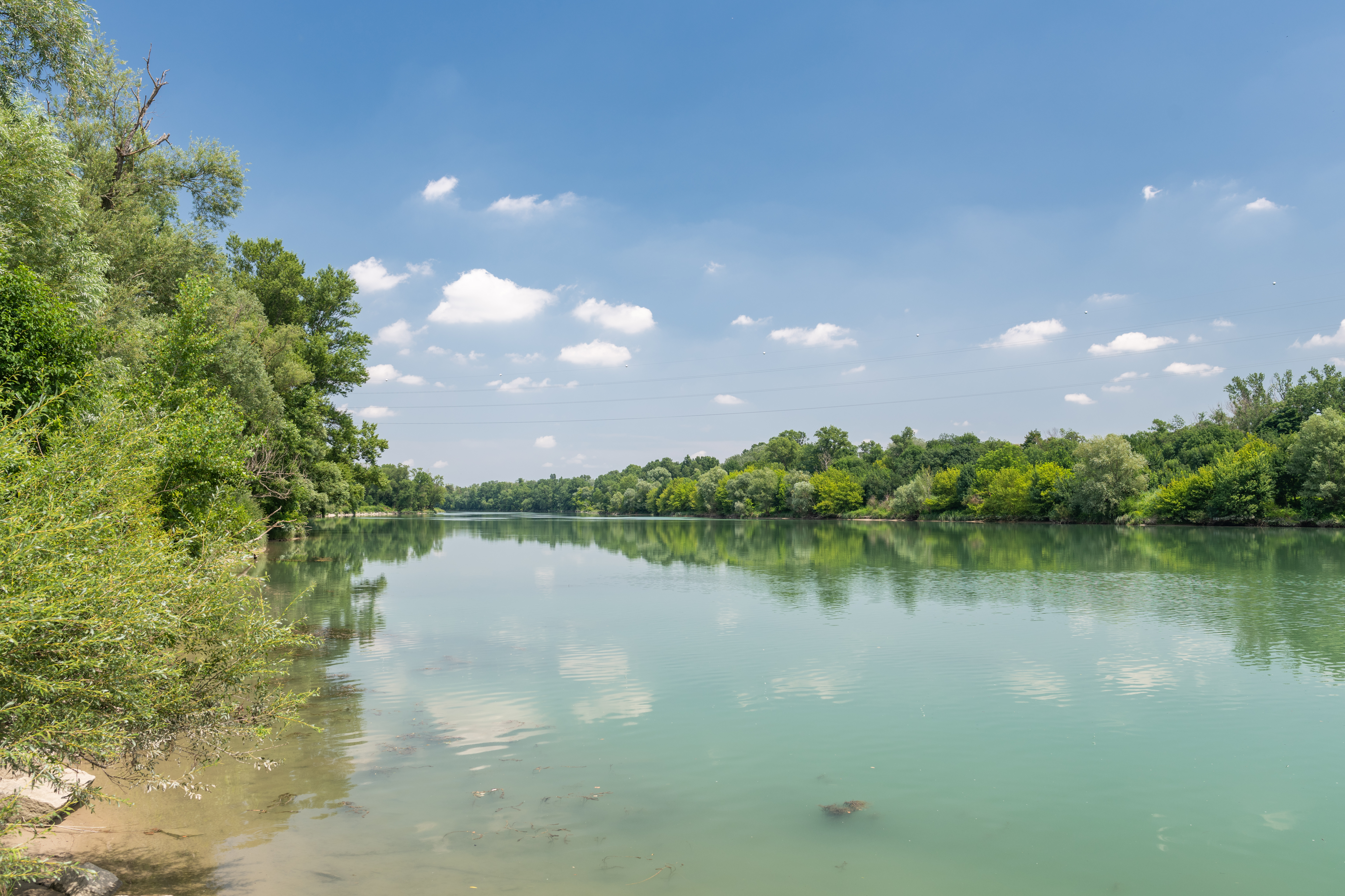 Berges du Rhône à Grigny illustration