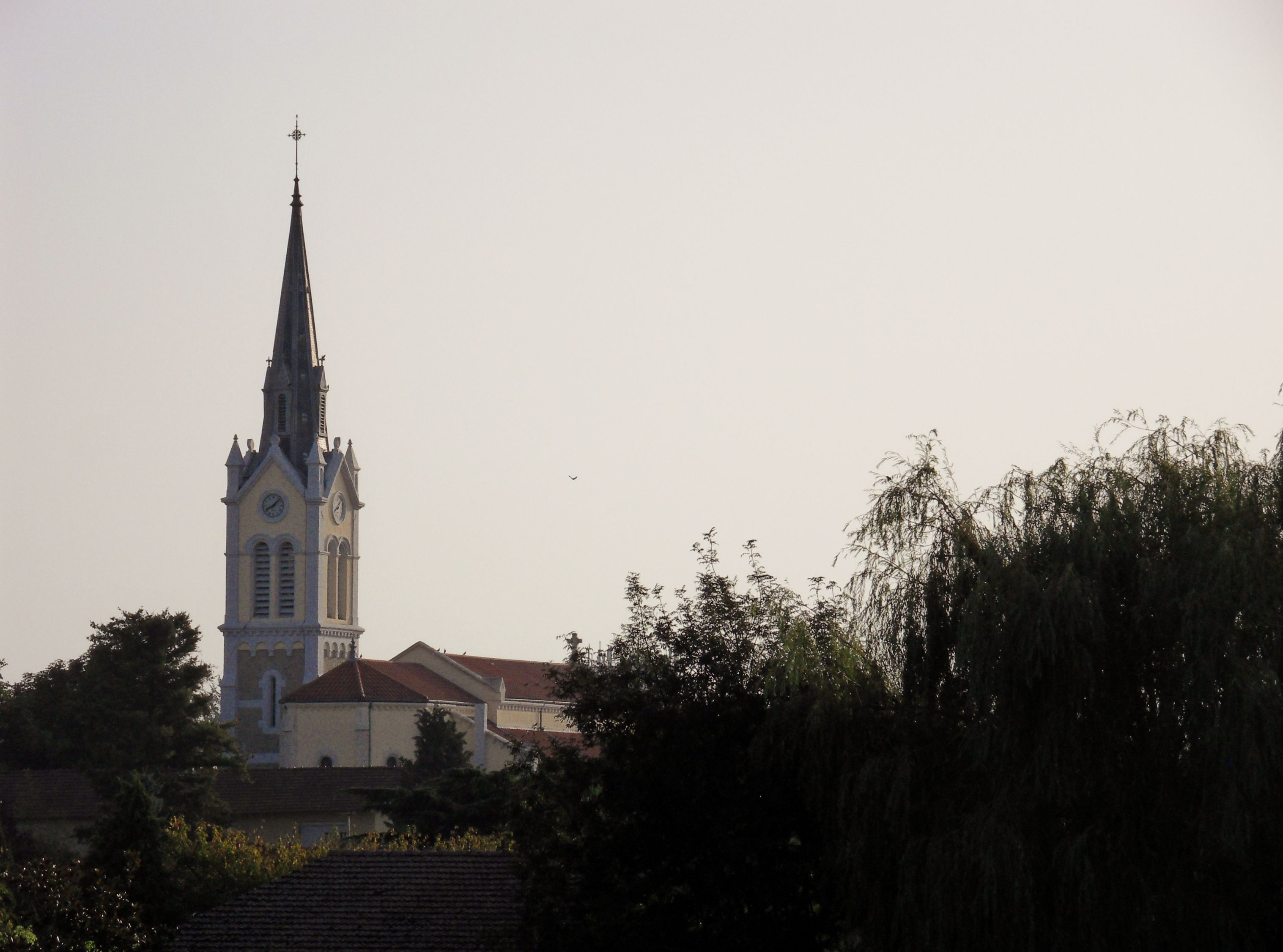 Grand Parc de Miribel-Jonage illustration