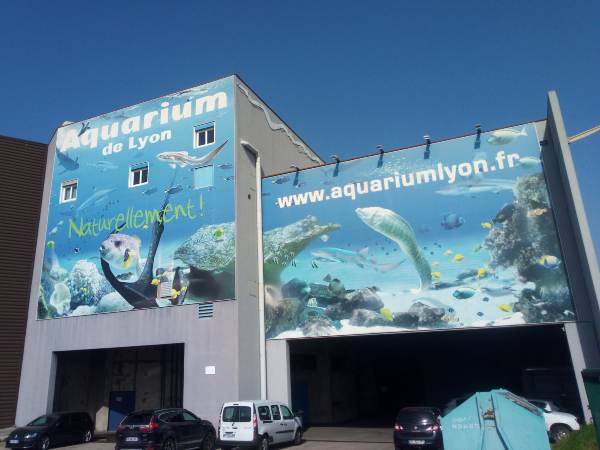Aquarium of La Mulatière illustration
