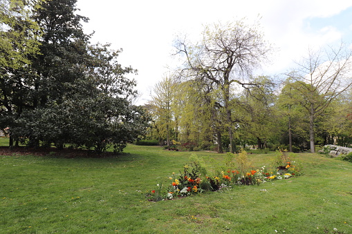 Louis Dupic Park illustration